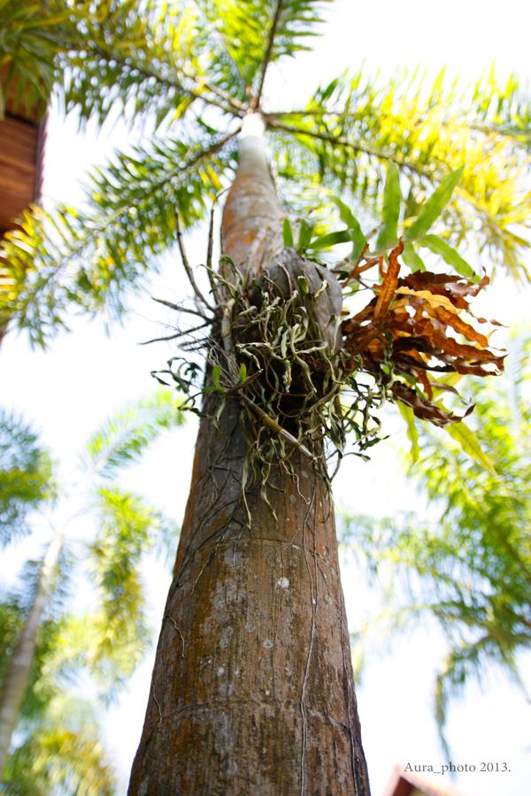 Таиланд, остров Чанг.