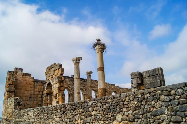Volubilis Volubilis