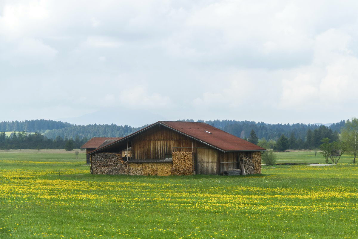 Замки Баварии, Германия