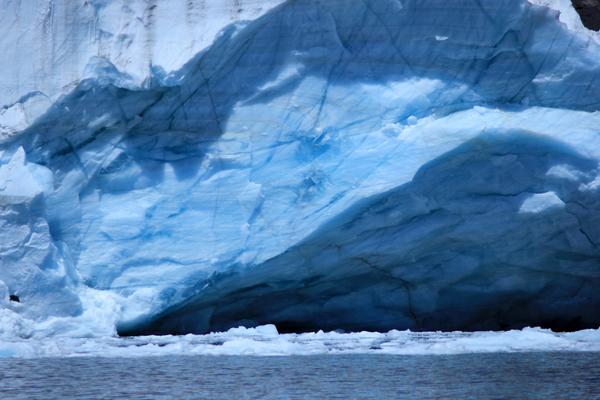 По&nbsp;следам динозавров