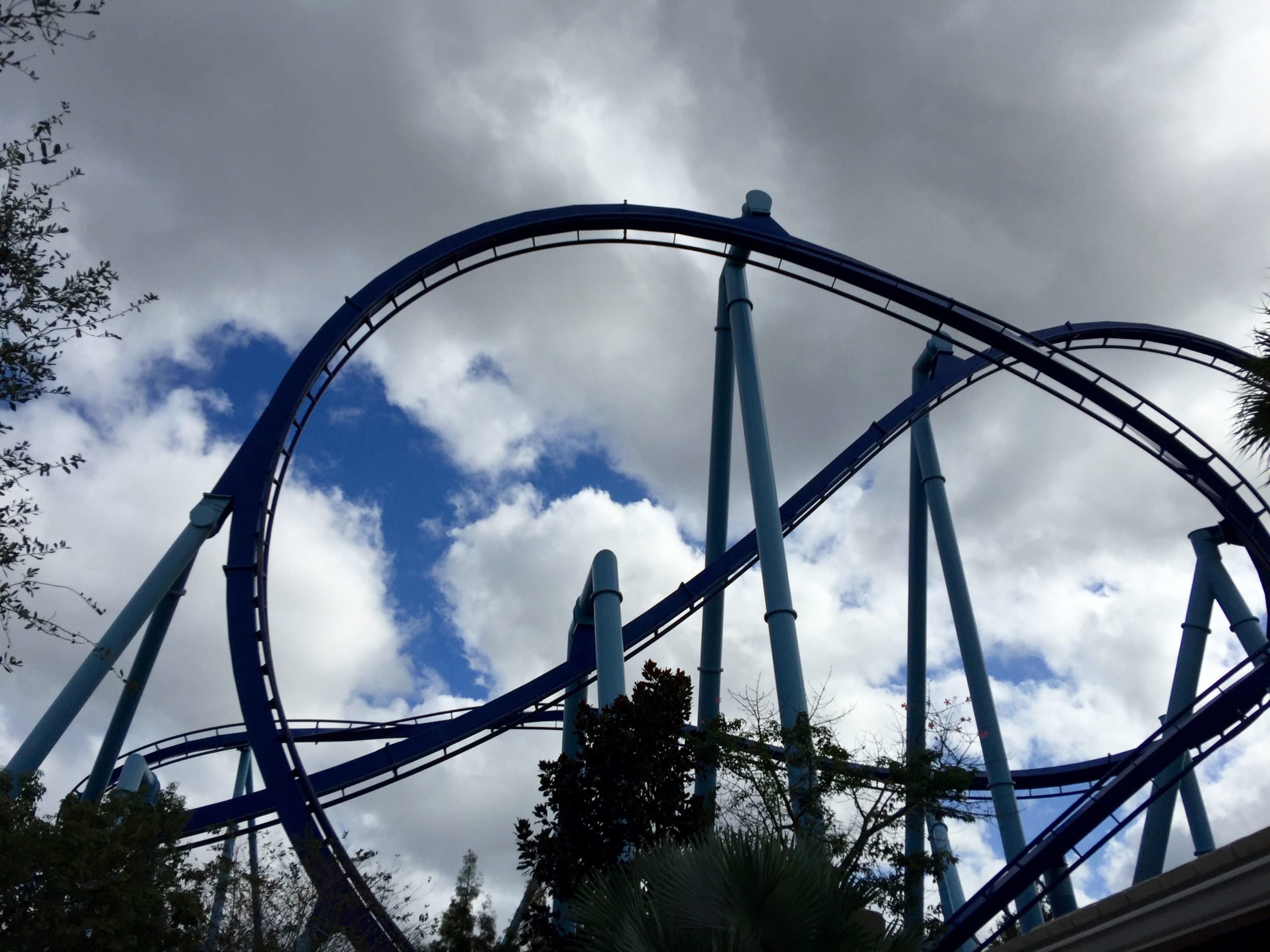 Sea World. Dreams come true. Part 4.