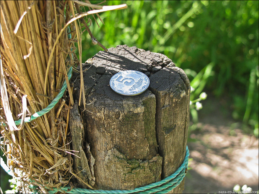 Древние кольца Хортицы