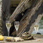 Мозель, Шампань, Аквитания 2010