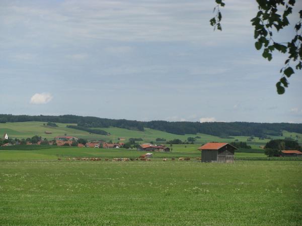 По&nbsp;пивным местам: Чехия-Бавария. 2009 год. Часть 3 (Мюнхен, Нюрнберг)