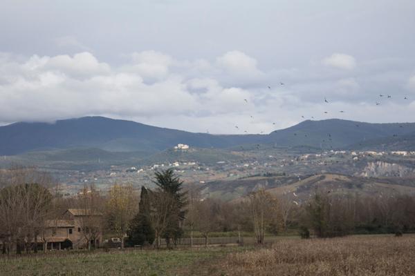 Сиена, Тоскана в декабре Сиена, Тоскана в декабре