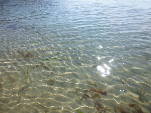 Вода и&nbsp;песок Соколовской бухты Японского моря