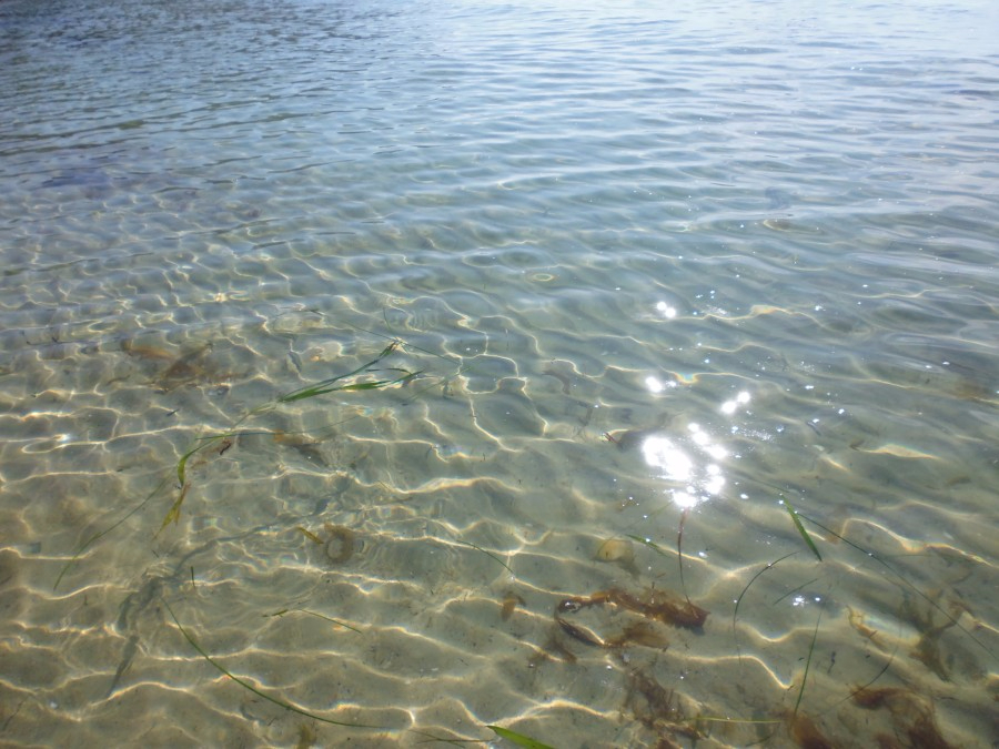 Вода и песок Соколовской бухты Японского моря