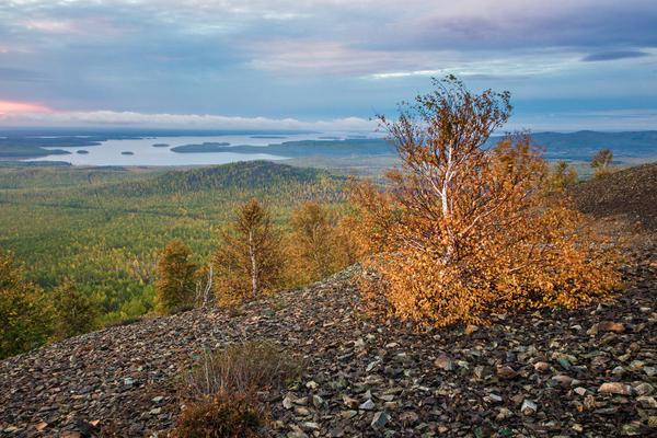 Цветные сны Карабаша Цветные сны Карабаша