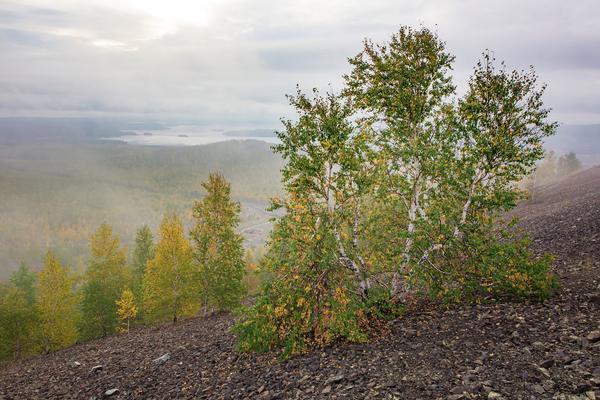 Цветные сны Карабаша