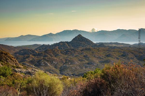 Корсика. Запах бессмертника в&nbsp;дуновении ветра.