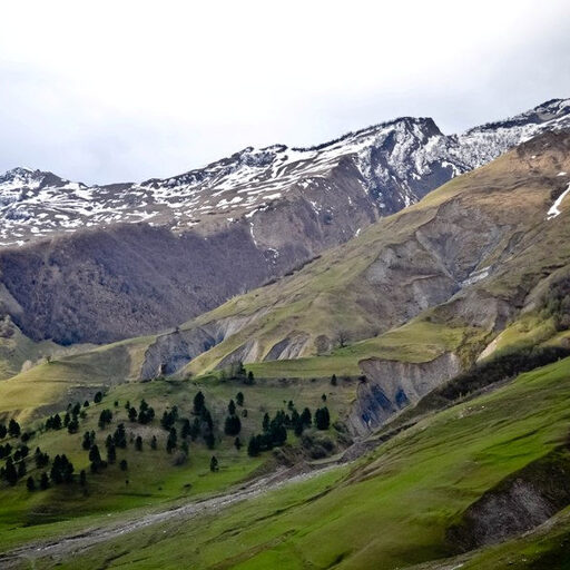 Грузино-азербайджанский поход. Начало