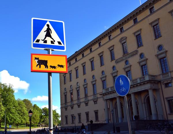 Уппсала. Мирская суета-сует города и&nbsp;величие тишины Кафедрального собора