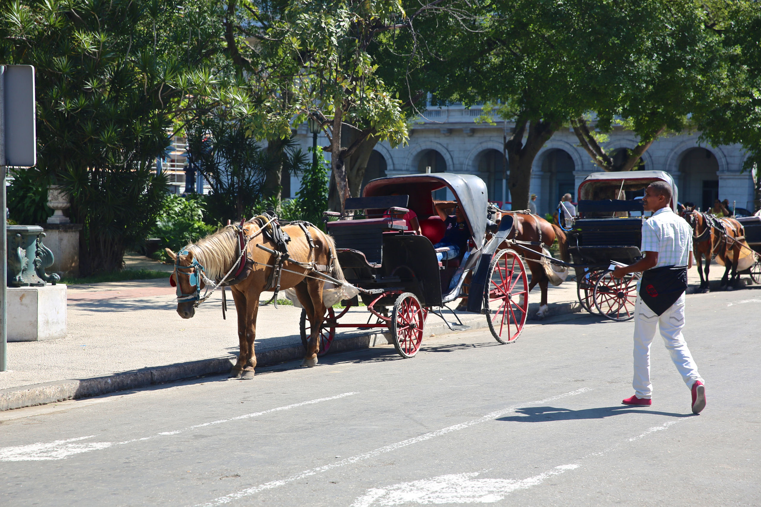 На кабриолете по Гаване! Обзорная экскурсия