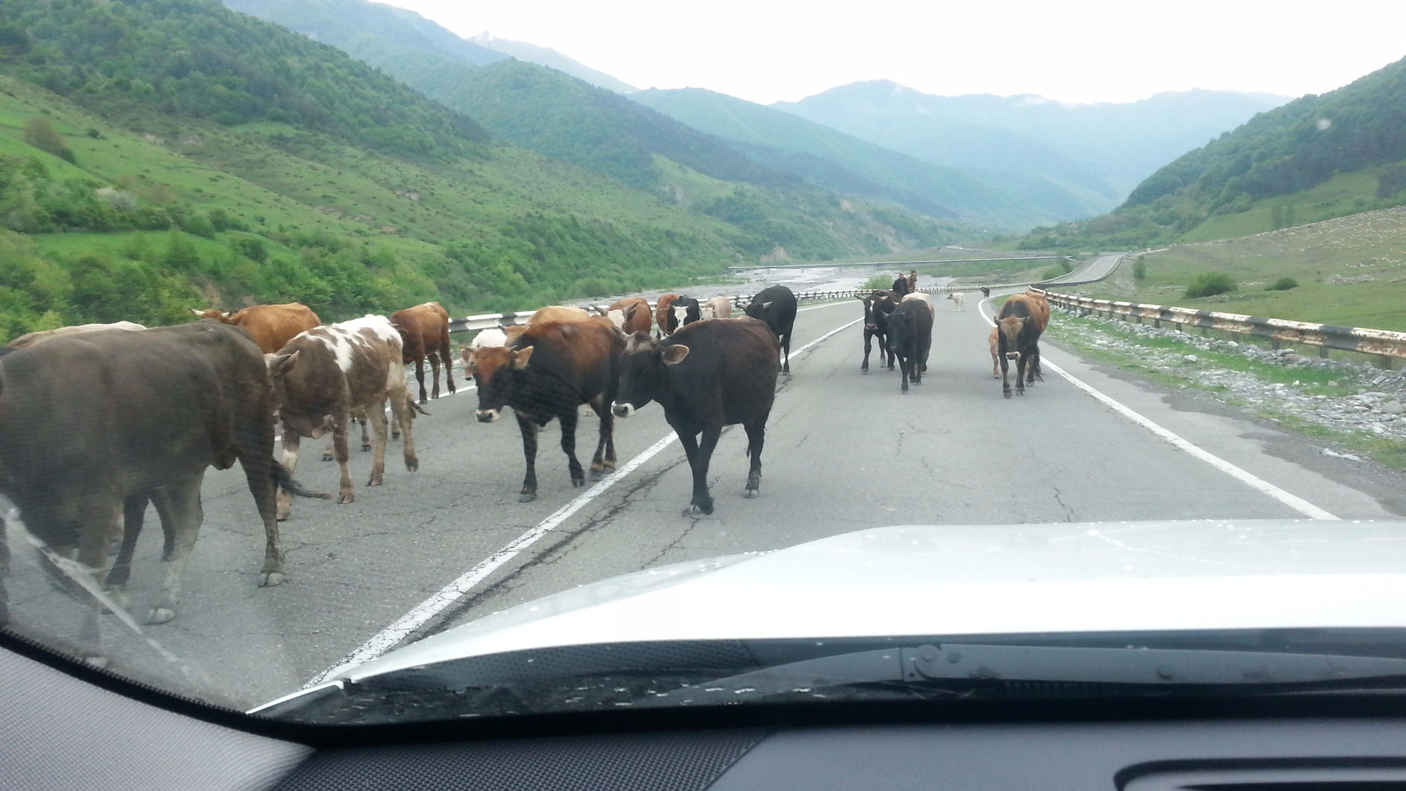 Очаровательный тур