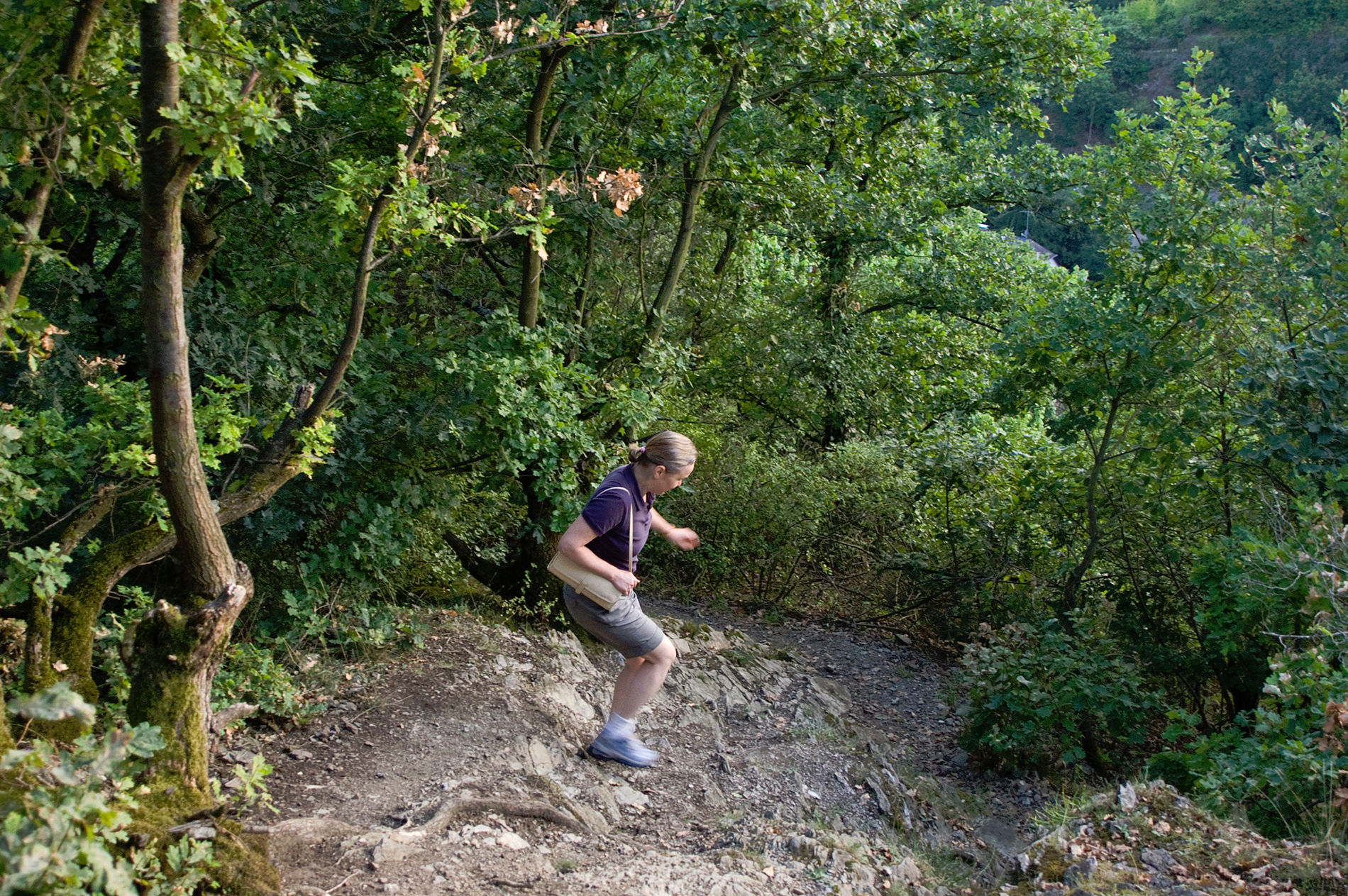 Мозель, Шампань, Аквитания 2010