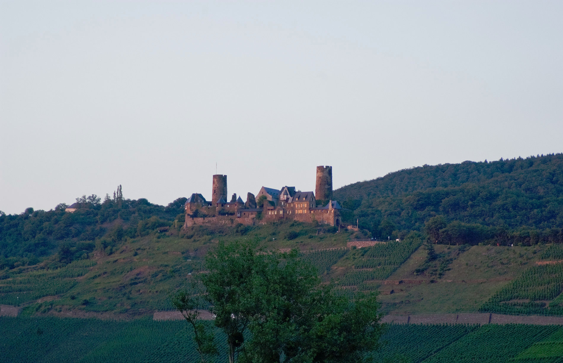 Мозель, Шампань, Аквитания 2010